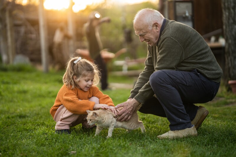 Little girl with their grandfather petting a cat together in beautiful back yard.