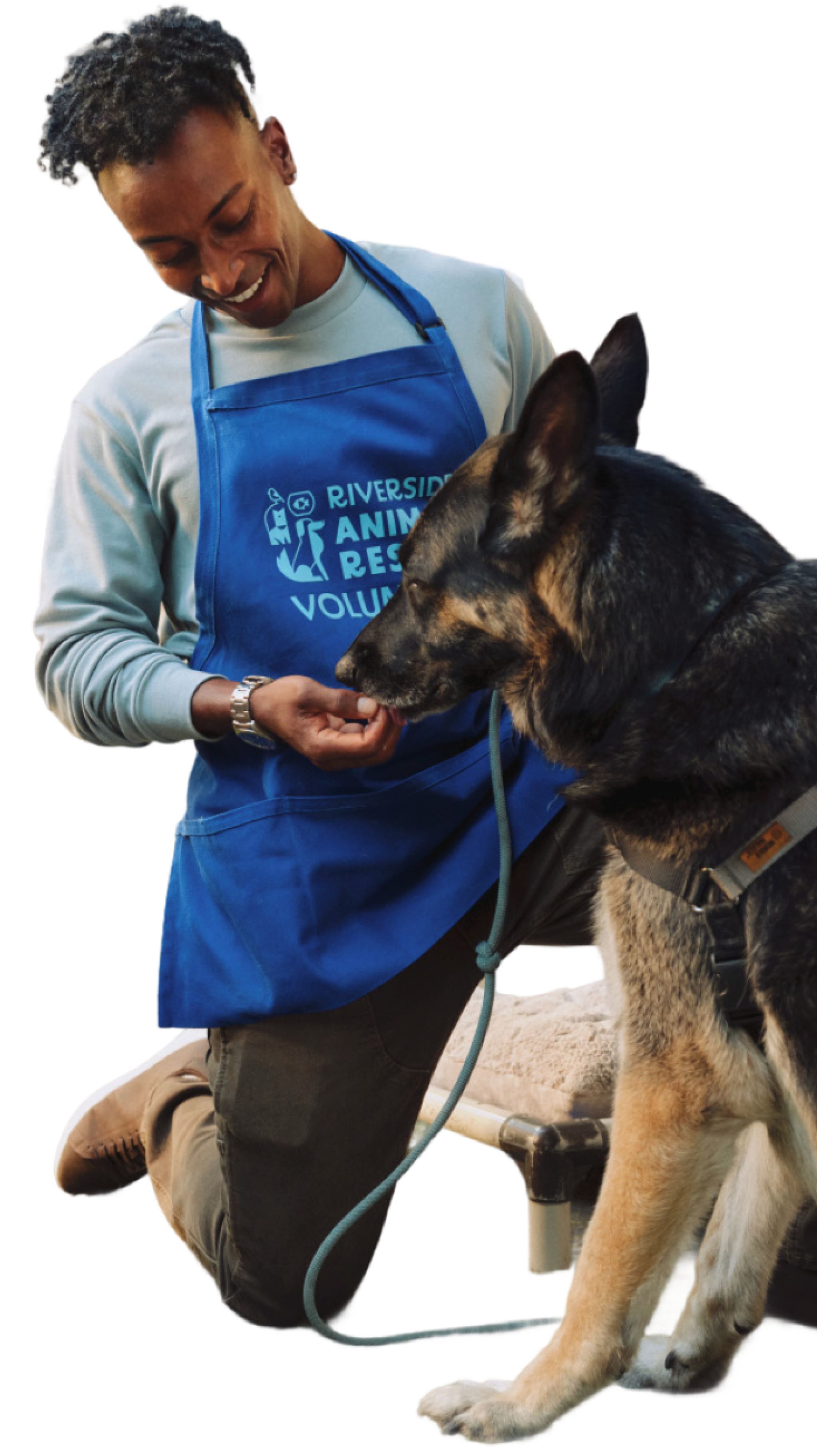 Man caring for dog at an animal rescue