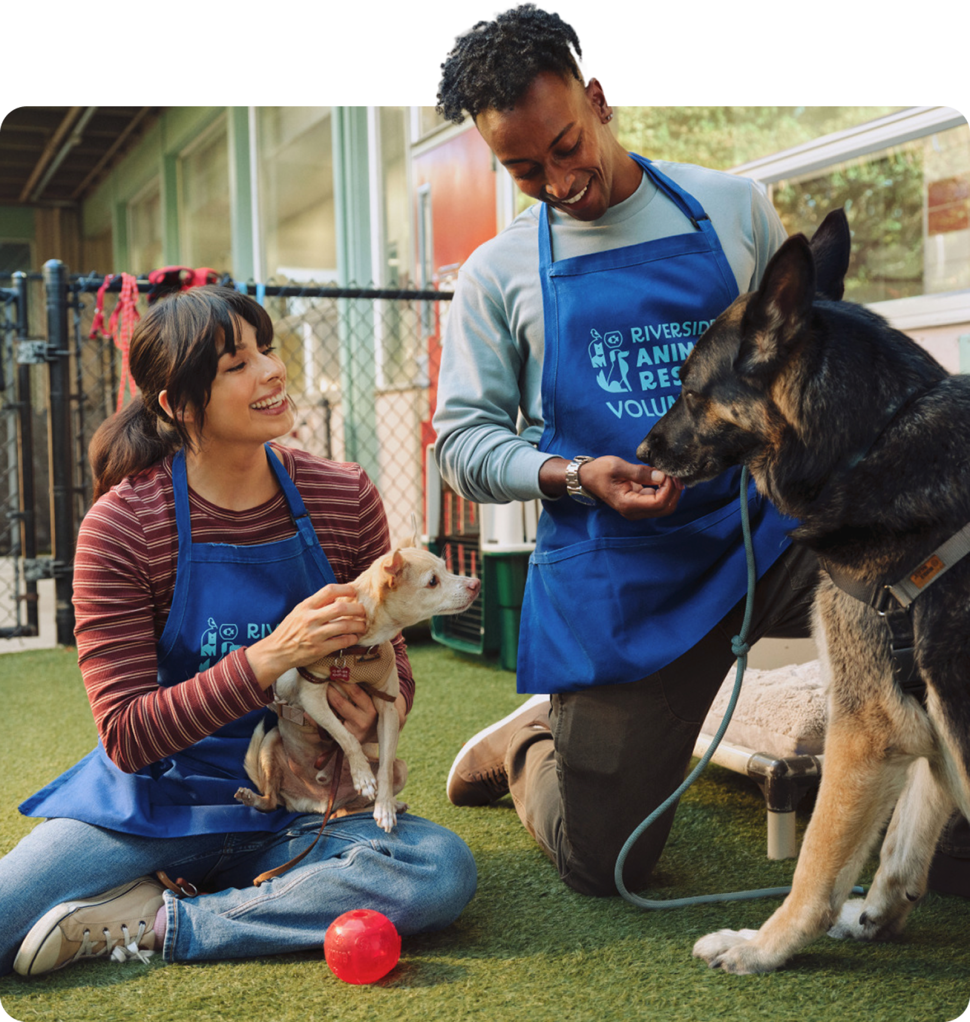 Man and woman caring for dogs at an animal rescue