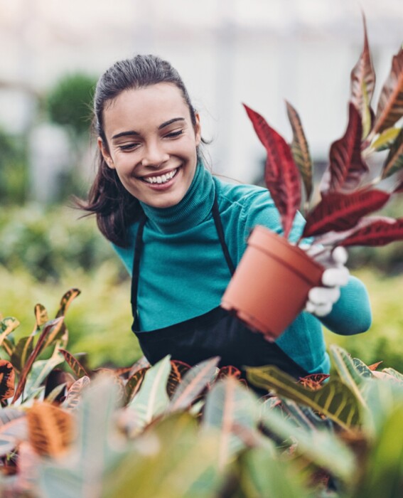 Woman looks at field of potted plants and holds one up