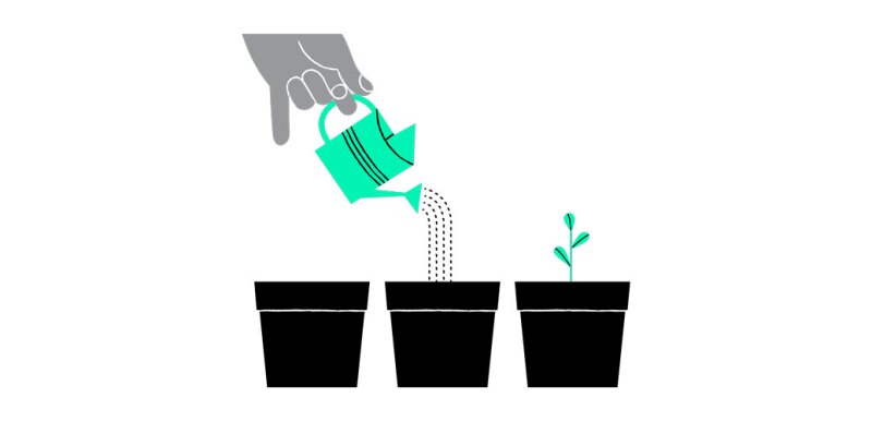 Illustration of person watering plant
