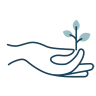 graphic of hand holding a sprouting plant