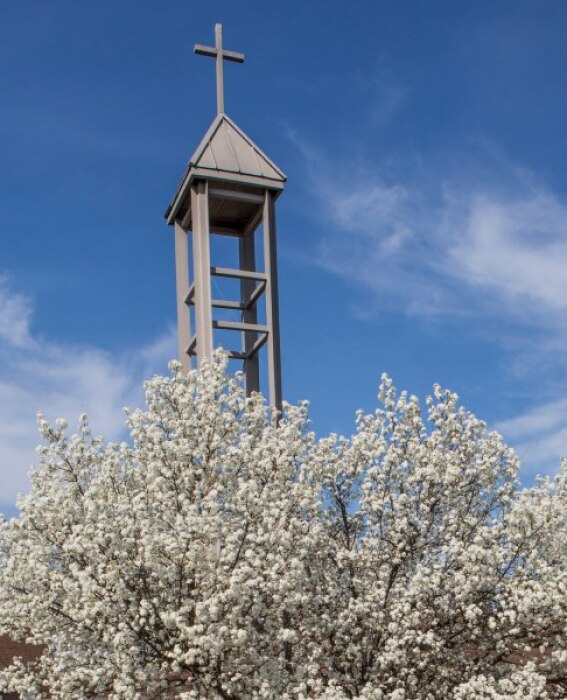 Photo of church tower and trees