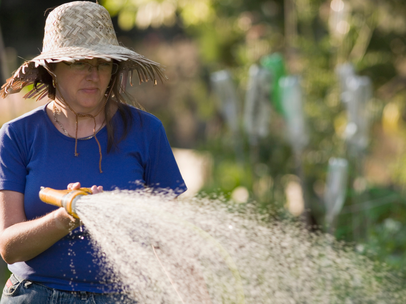 Woman in straw hat holding hose with yellow nozzle and watering plants
