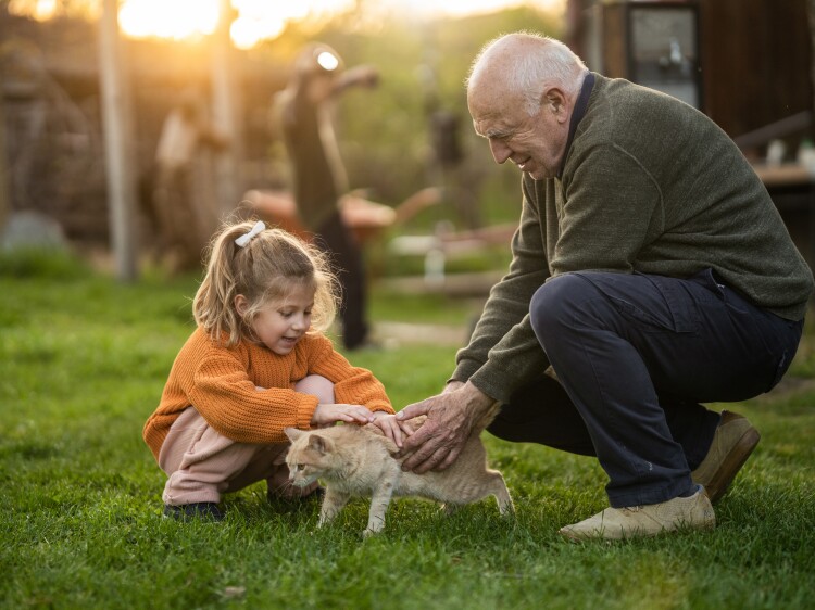 Little girl with their grandfather petting a cat together in beautiful back yard.
