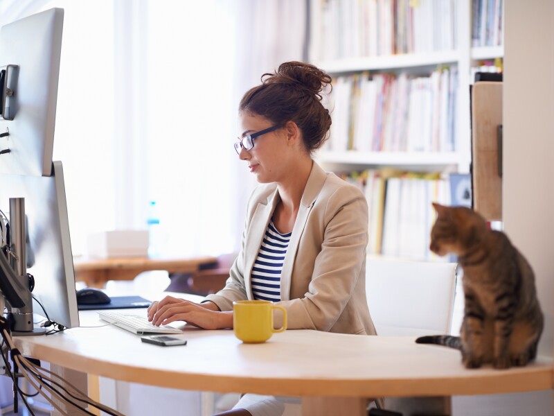 Young woman working on her computer from home while her cat looks on